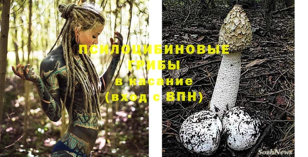 PSILOCYBIN Верея