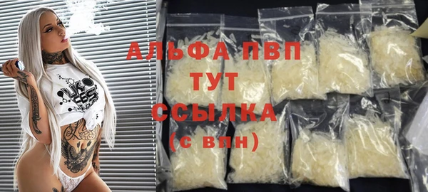 PSILOCYBIN Верея