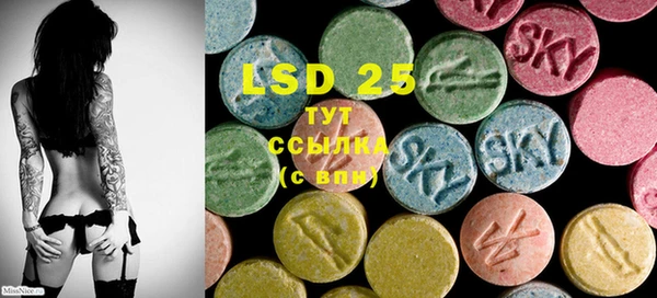 PSILOCYBIN Верея