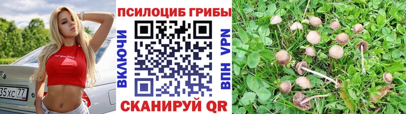 shop Telegram  Хабаровск  Галлюциногенные грибы Magic Shrooms 