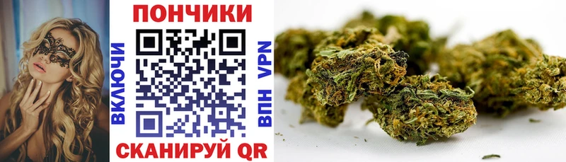 mega зеркало  Хабаровск  Бошки марихуана сатива 